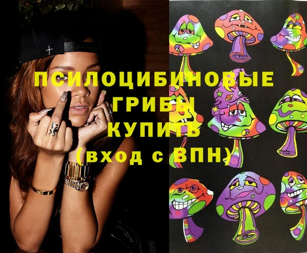 крисы Володарск