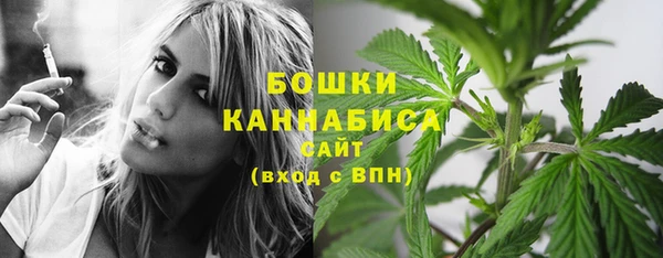 Альфа ПВП Бородино