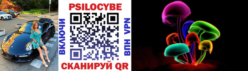 Галлюциногенные грибы Psilocybe  блэк спрут ссылка  Донской  купить закладку 